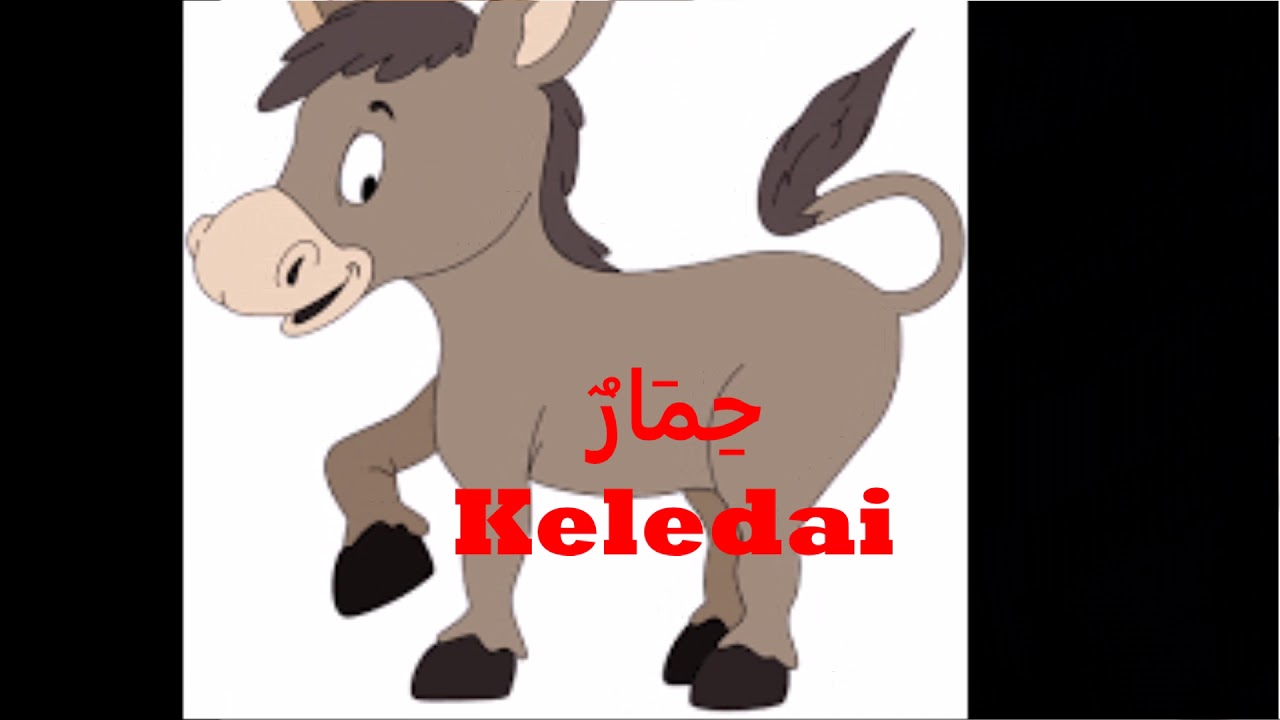 Bahasa Arab Nama Hewan - Belajar Bahasa Arab lebih Asyik dan