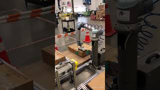 Gimme more packages 🦾 #shorts Net Worth