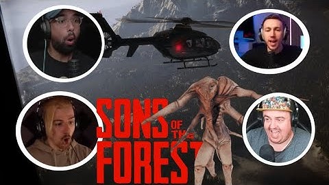 GAMERS REACT TO Helicopter Crash In Sons of The Forest