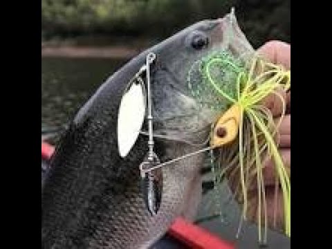 2024 Nebraska’s Top 10 Largemouth Bass Fishing
