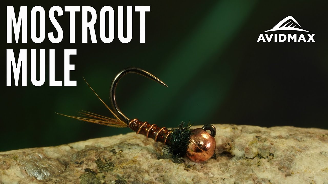 How to tie the Mostrout Mule  AvidMax Fly Tying Tuesday Tutorials 