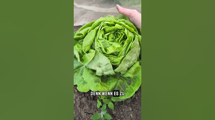 Wichtige Garten Aufgaben im Juni #Garten #gartentipps #gemüsegarten #gartenarbeit #tippsundtricks