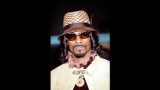 Snoop Dogg feat Jayo Felony, Mr. Criminal & Kurupt (DPG) - It's The Hood (Remix)