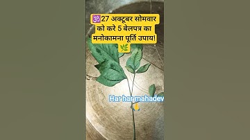 27 अक्टूबर सोमवार को करे 5 बेलपत्र का मनोकामनापूर्ति उपाय!🌿🕉️ #pradeepmishrajidhankeupay #shorts