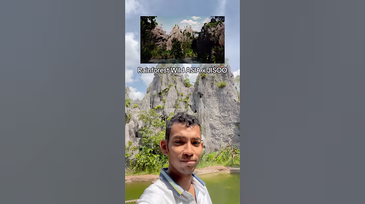 At Rainforest Wild ASIA where Jisoo of BLACKPINK made her "Your Love" Music Video