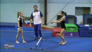 Handstand on Bars - Tony Retrosi
