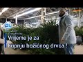 Vrijeme je za kupnju božićnog drvca !