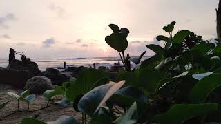 A morning on CarNic island
