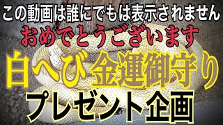 2022年⚠️金運爆上げ【プレゼント企画】岩國白蛇神社「白へび金運守り」SPTチャンネル登録者様に抽選でプレゼント！