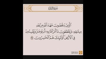 سوره البقرة من الايه 20 الى 30