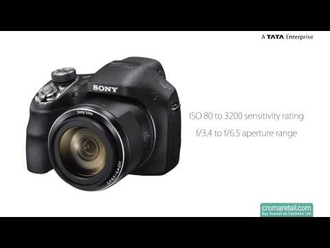 Sony Cyber-shot DSC-H400 20.1 MP Digital Camera (Black)