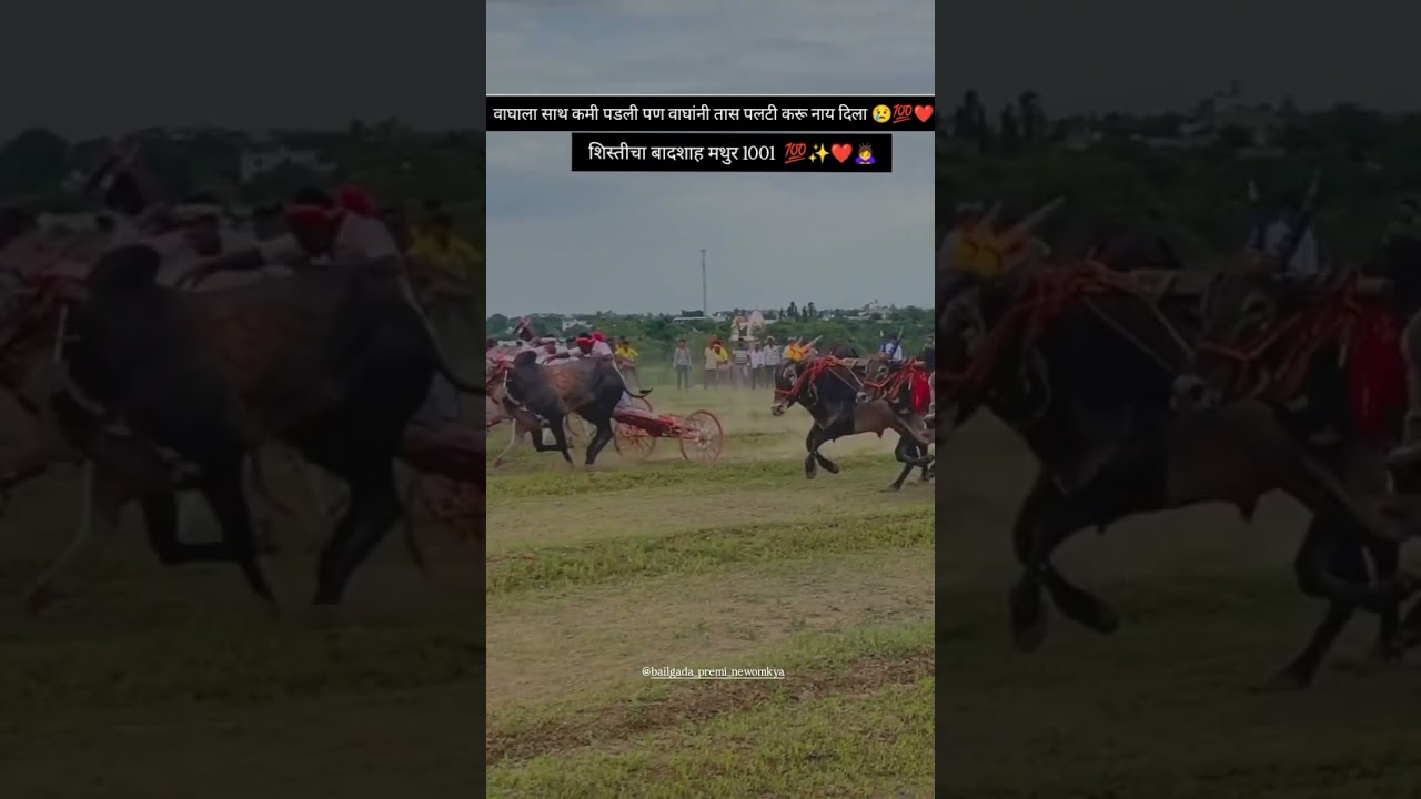 | मथुर 1001 | 