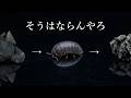 石を食った結果、なぜか別の物質になるダンゴムシ