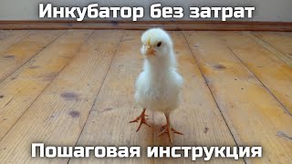 Инкубатор своими руками || Максимальное количество вылупившихся цыплят практически без затрат