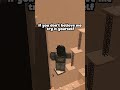 Use This Sound to Gain Subscribers 😁#roblox #rblx #shorts