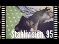 STAHLIVISION: Bret goes to Washington