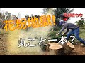 花粉症なのに杉の木一本⁉ 花粉地獄の薪割りDIY【78話】