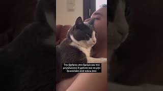 Την βρίσκεις στο δρόμο και την μεγαλώνεις 8 χρόνια για να μην ξεκολλάει από πάνω σου 😍 #κατοικιδια