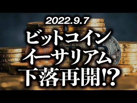 ビットコイン・イーサリアム下落再開！？［2022/9/7］【仮想通貨・BTC・ETH・FX】※2倍速推奨
