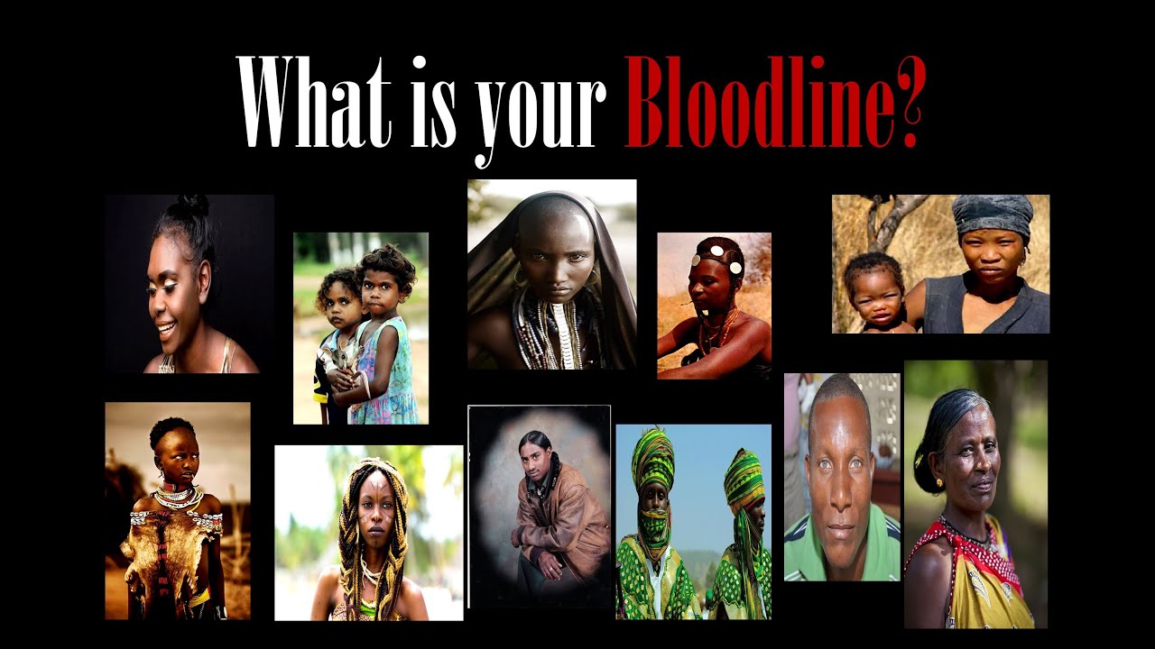 Bloodline - YouTube