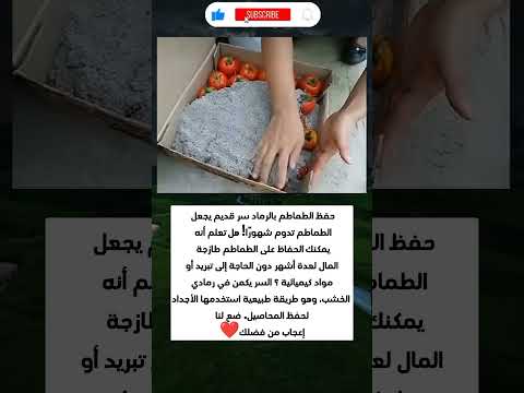 حفظ الطماطم بالرماد سر قديم يجعل الطماطم تدوم شهور ا هل تعلم أنه يمكنك الحفاظ على 