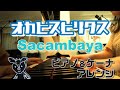 Sacambaya(サカンバヤ)