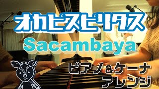 Sacambaya(サカンバヤ)