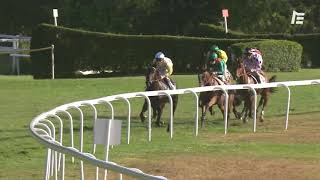 Vidéo de la course PMU PRIX PRESIDENT ANDRE SAULOU