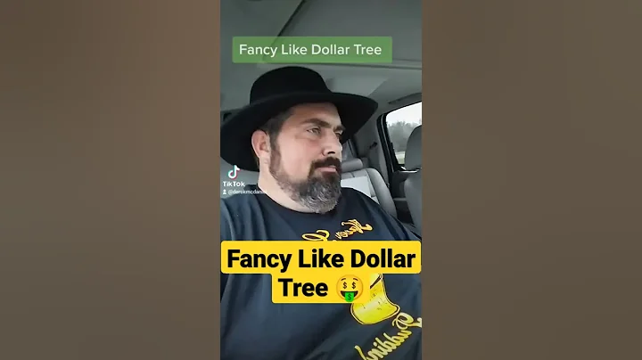 Fancy like dollar tree  (Walker Hayes parody)