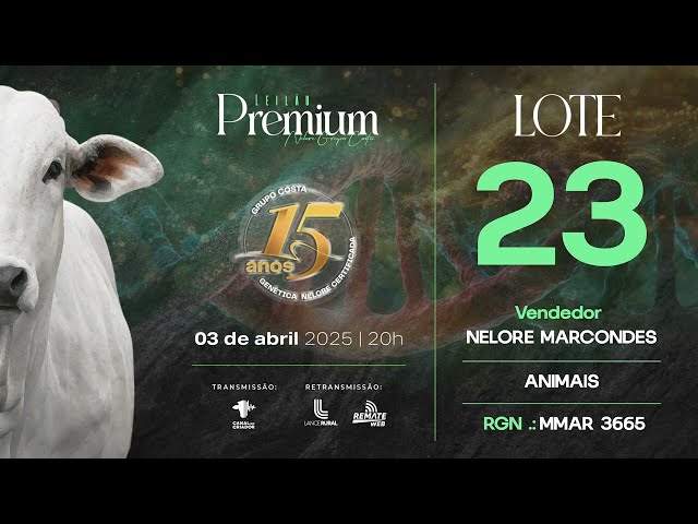 LOTE 23 MMAR 3665