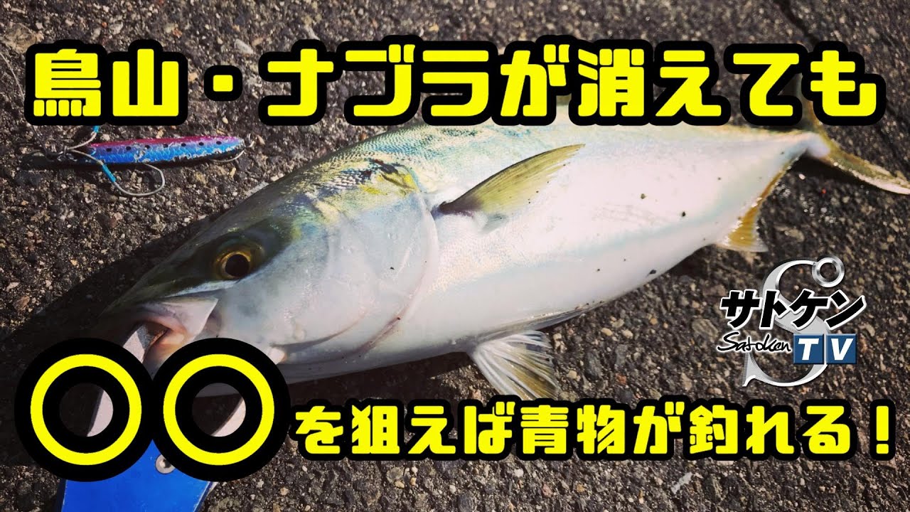 ショアジギングで鳥山 ナブラが消えても を狙えば青物が釣れる Youtube ショアジギングで鳥山 ナブラが消えても を狙えば青物が釣れる Youtube