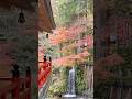 This is also Japan #japan #travel 🍁🍁