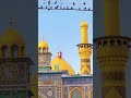 Abbas mera naam alamdar e wafa hun #trandingshorts #virelshorts #youtubeshort