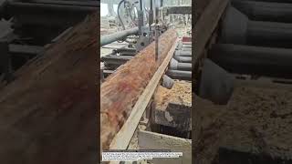 Extreme Vertical Band Saw Log Cutting Machine Powerful Industrial Wood Processing Technology.