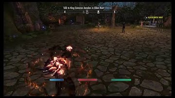 The Elder Scrolls Online: Tamriel Unlimited - Glitch Stuck Swap-Animation