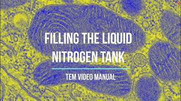 Chapter 2 -  TEM video manual - Filling the Liquid Nitrogen tank