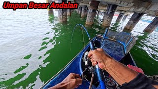 When the Big Bait Goes Down, the Pier Dwellers Get Hungry Immediately