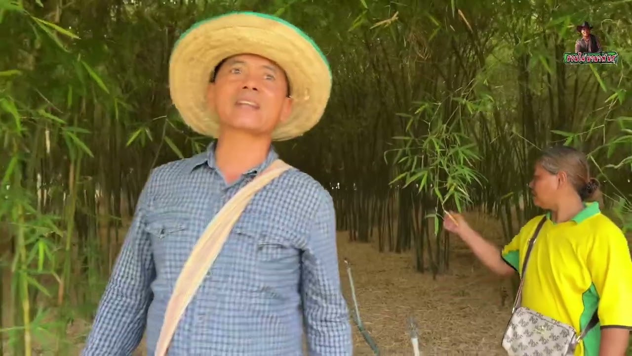 ไผ่เลี้ยงหวาน…ออกหน่อดกๆ นอกฤดู ขยายพันธุ์ แบบนี้กันมั้ย??