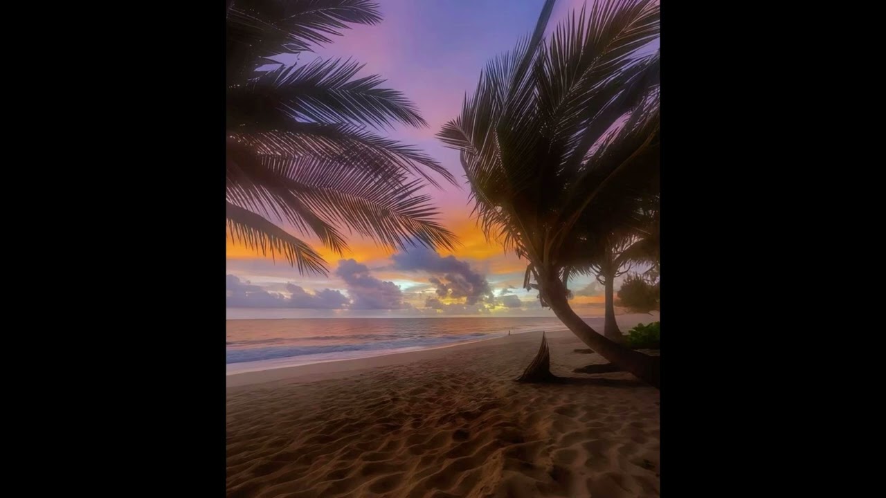 [FREE] ODEAL x NIPPA TYPE BEAT "summer breeze"