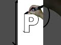COMMENT DESSINER LA LETTRE P EN 3D mp3
