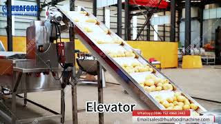 500kg/h Automatic Mashed Potato Processing Line for Sale