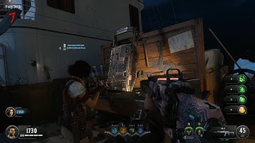 Black Ops 4 Zombies "Voyage of Despair" (Ballistic Shield Guide)