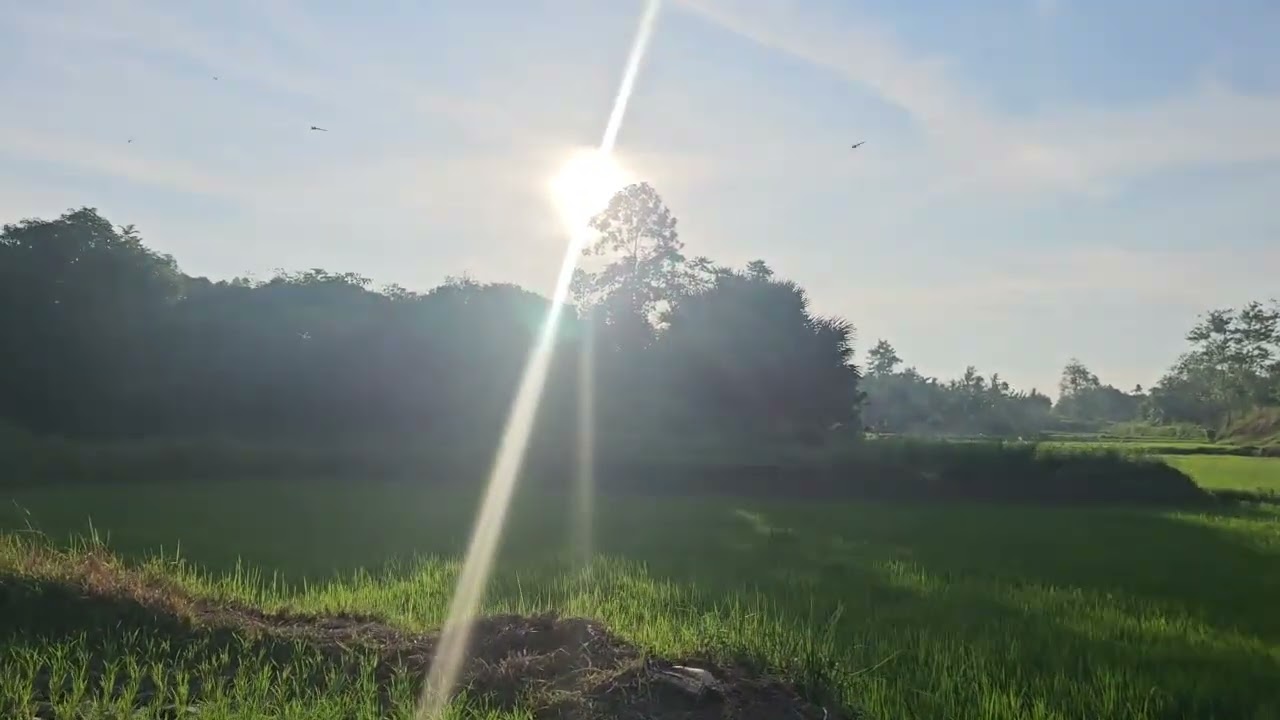 Bohol lot for sale 5 hectares clean title along big river Dagohoy Bohol Philippines 60/sqm net