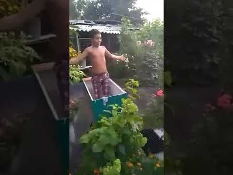 Видео: В меня брызгают водой!  Ааааа!!! 