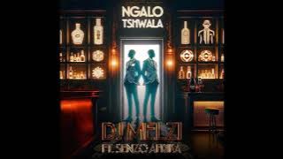Dj Melzi - Ngalo Tshwala feat Senzo Afrika