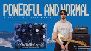 WHITECAP Tremolo by Old Blood Noise Endeavors (Powerful and Normal