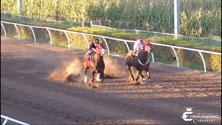 🔥Vikingo🪓🆚Chango🐒 🔥 Fresno Hipodromo, SIN.🍅