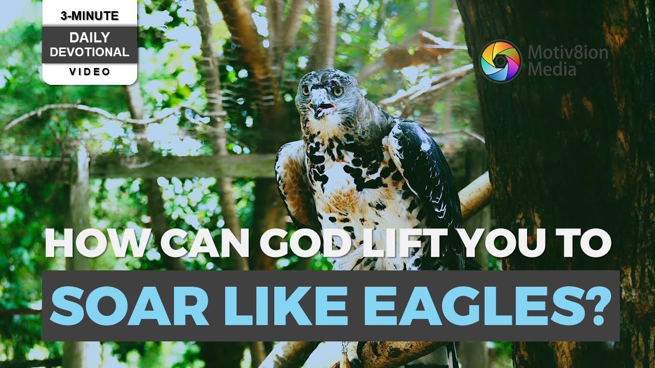 3-Minute Daily Devotional | Soaring High: Finding Strength Through God’s Promise