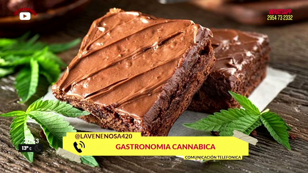 ¡GASTRONOMIA CANNABICA!