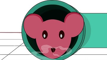 Mouse Maze Brain Puzzle Games - Connect Pipes